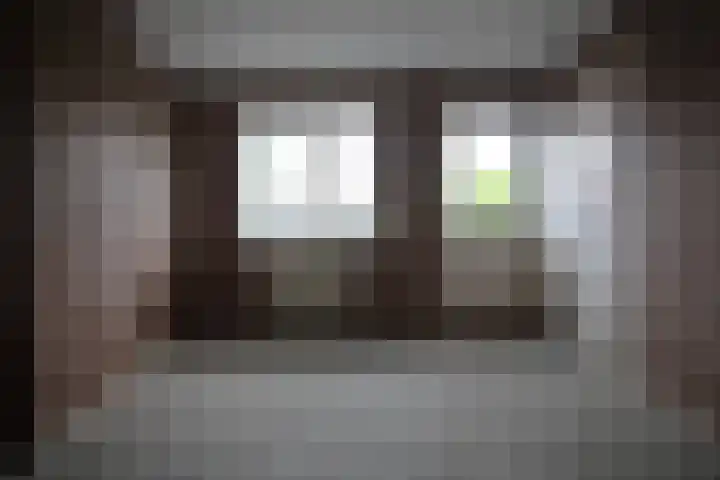 Dahliastraat 4 Olst thumbnail 9