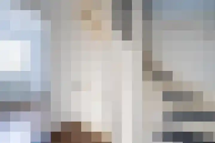Dahliastraat 4 Weert thumbnail 13