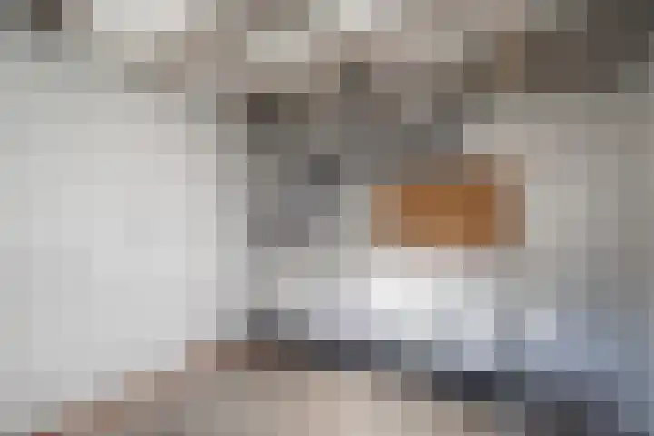 Dahliastraat 4 Weert thumbnail 37