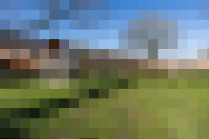 Dahliastraat 4 Weert thumbnail 38