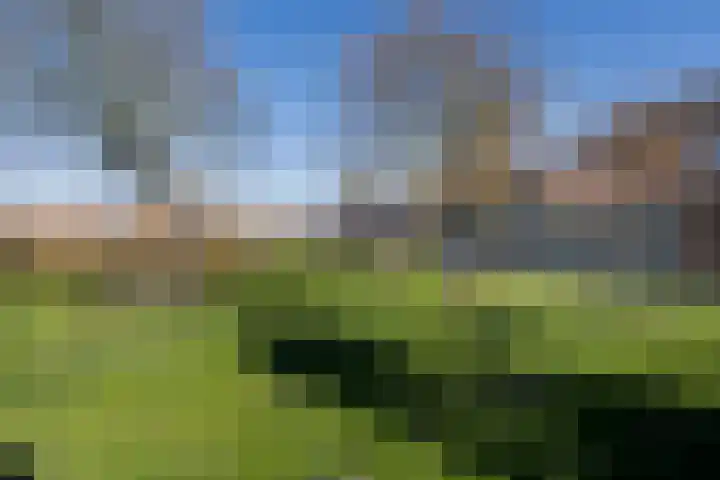 Dahliastraat 4 Weert thumbnail 39