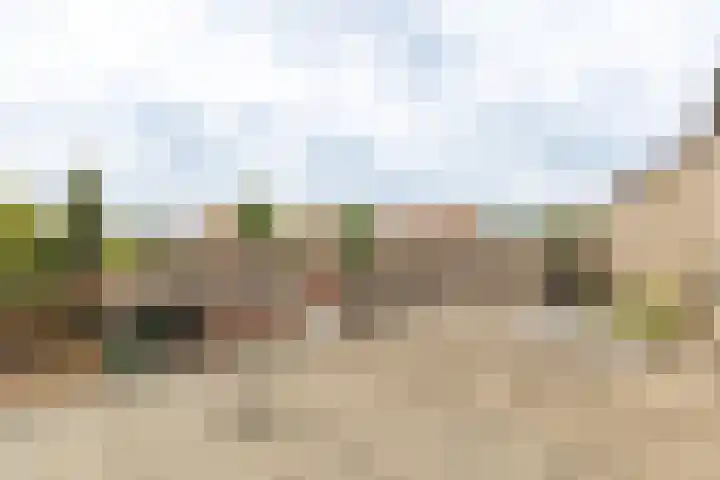 Dahliastraat 41 Wernhout thumbnail 27