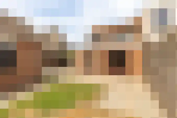 Dahliastraat 41 Wernhout thumbnail 30