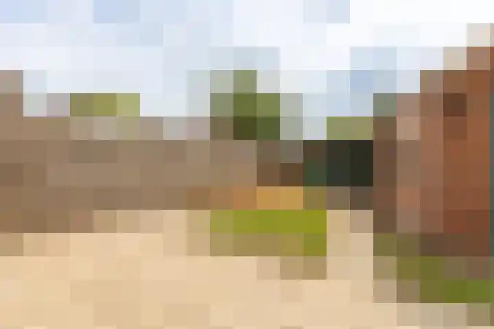 Dahliastraat 41 Wernhout thumbnail 31