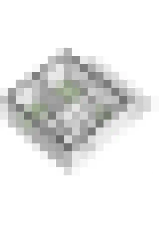 Dahliastraat 41 Wernhout thumbnail 39