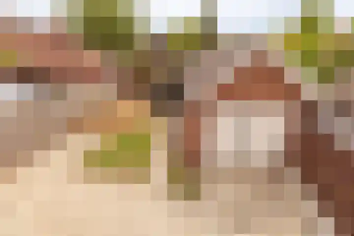 Dahliastraat 41 Wernhout thumbnail 5