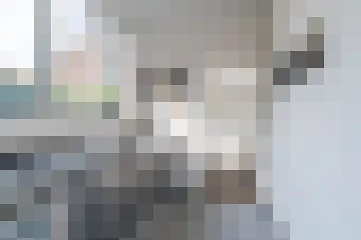 Dahliastraat 67 Culemborg thumbnail 15