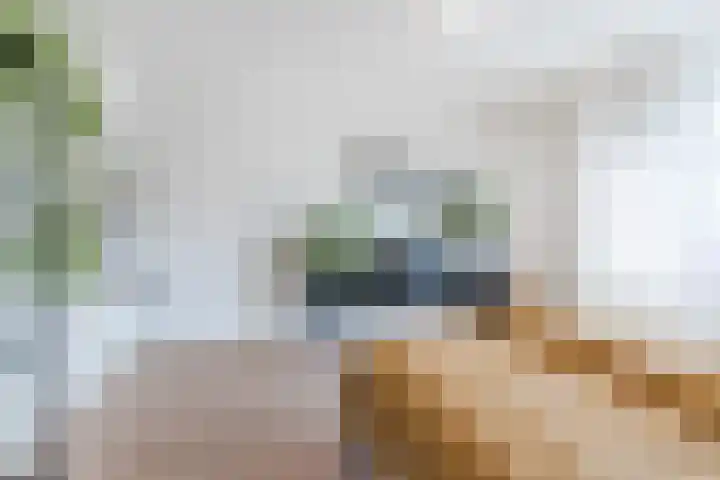 Dahliastraat 67 Culemborg thumbnail 25