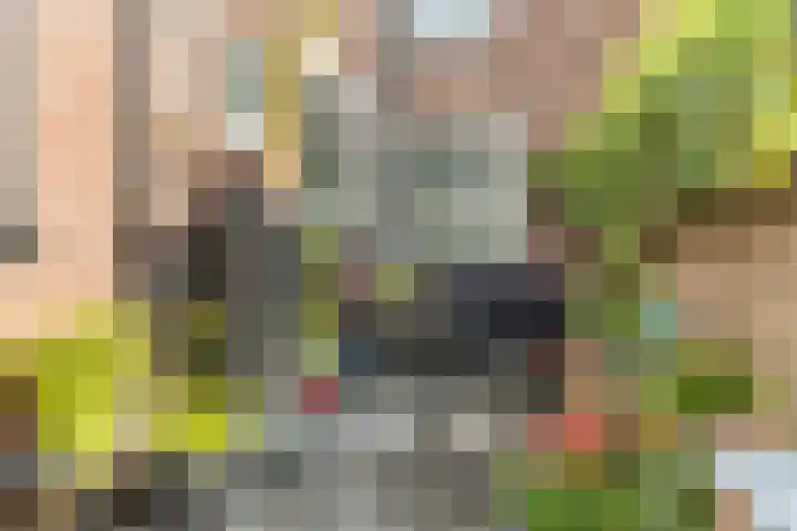 Dahliastraat 67 Culemborg thumbnail 32
