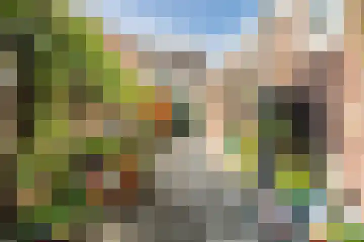 Dahliastraat 67 Culemborg thumbnail 33