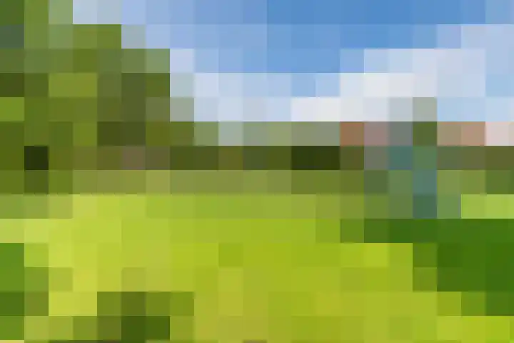 Dahliastraat 67 Culemborg thumbnail 4