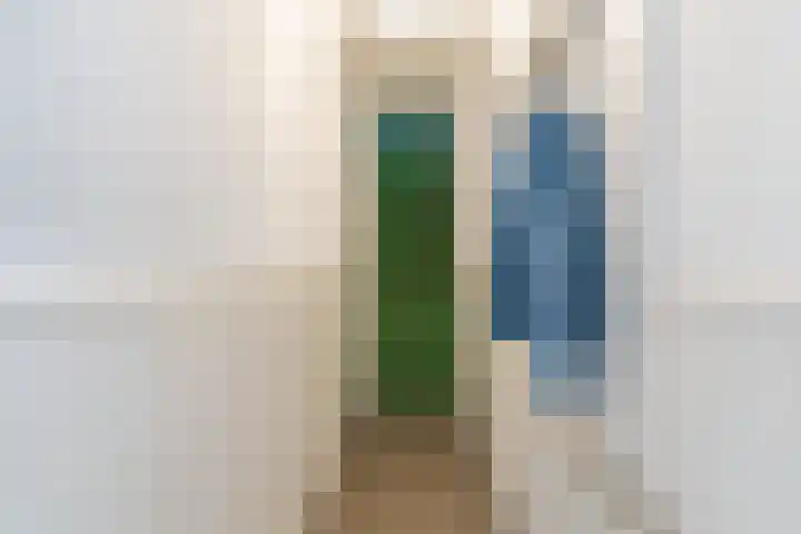 Dahliastraat 67 Culemborg thumbnail 5