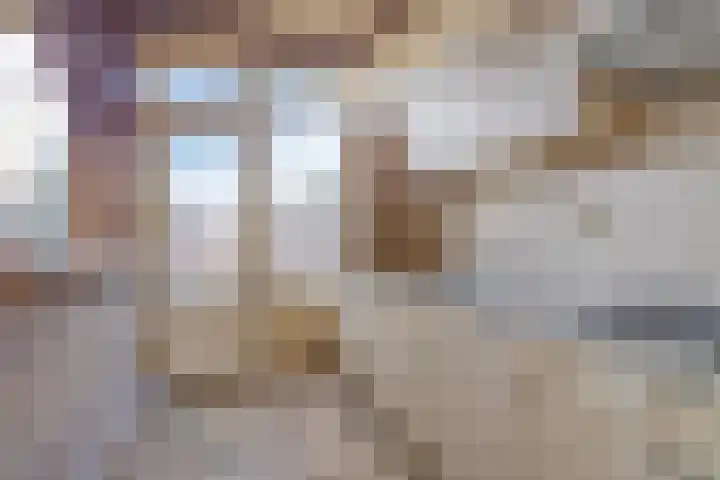 Dahliastraat 7 Drunen thumbnail 18