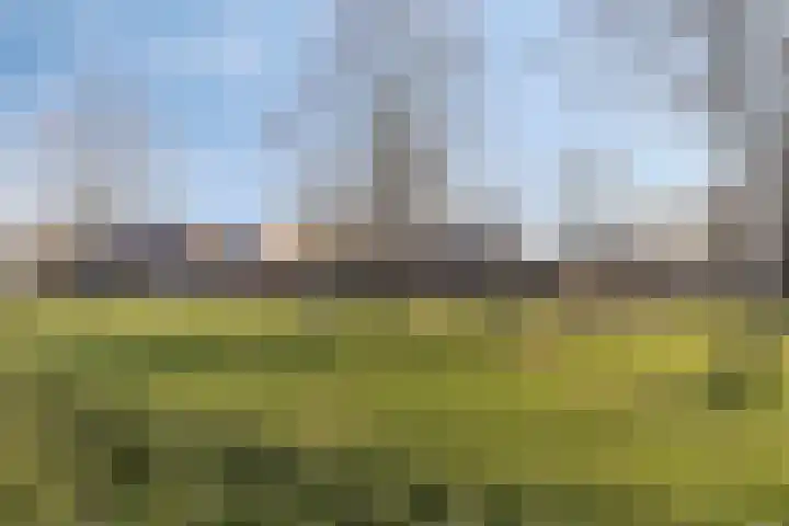 Dahliastraat 7 Drunen thumbnail 33