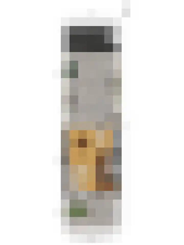 Dahliastraat 7 Drunen thumbnail 34