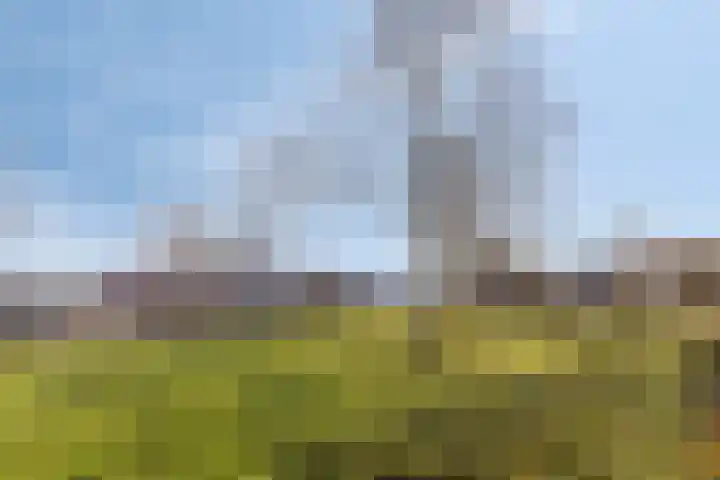 Dahliastraat 7 Drunen thumbnail 4