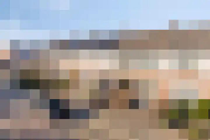 Dahliastraat 7 Drunen thumbnail 6