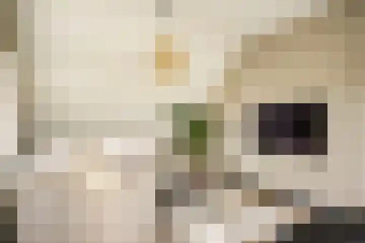 Dahliastraat 78 Made thumbnail 32