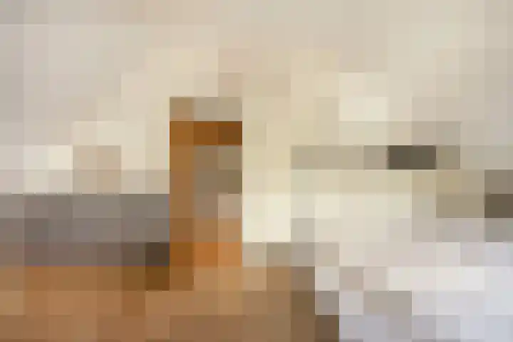 Dahliastraat 78 Made thumbnail 38