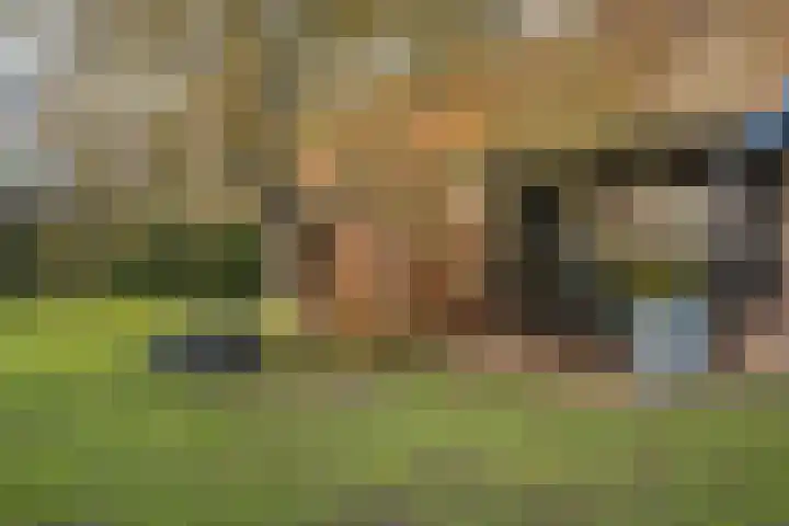 Dahliastraat 78 Made thumbnail 50