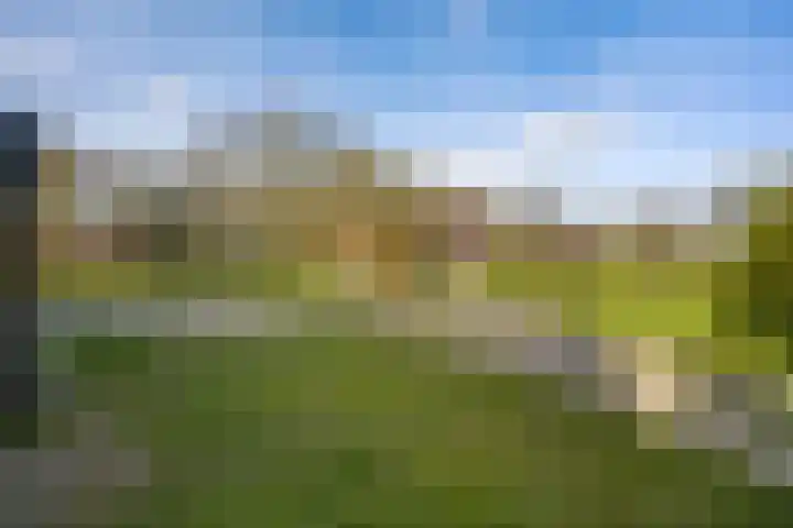 Dahliastraat 78 Made thumbnail 57