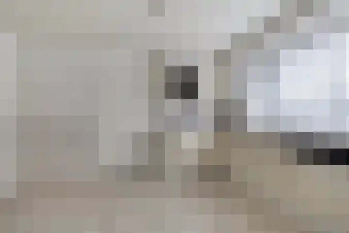 Dahliastraat 8 Made thumbnail 5