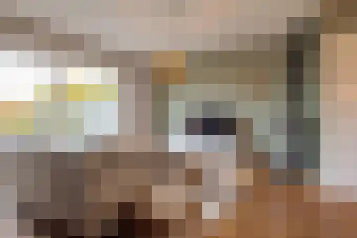 Dal 25 Tolbert thumbnail 19