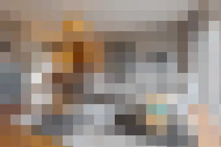 Dal 25 Tolbert foto 2