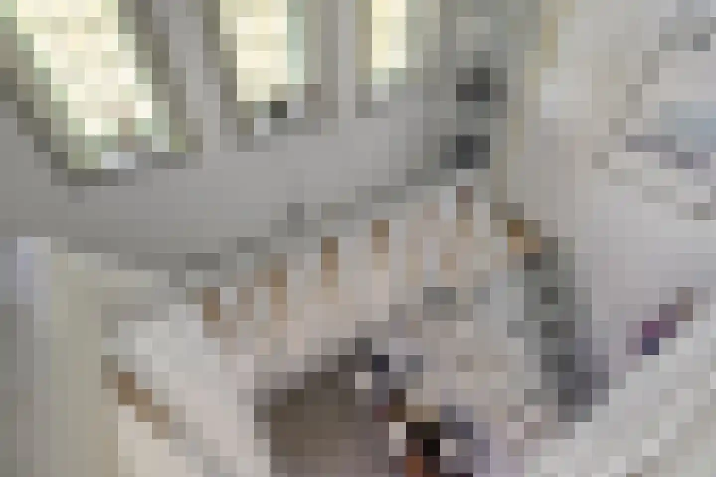 Dal 25 Tolbert thumbnail 22