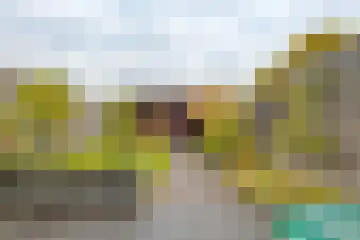 Dal 25 Tolbert thumbnail 23