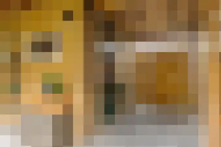 Dal 25 Tolbert thumbnail 27