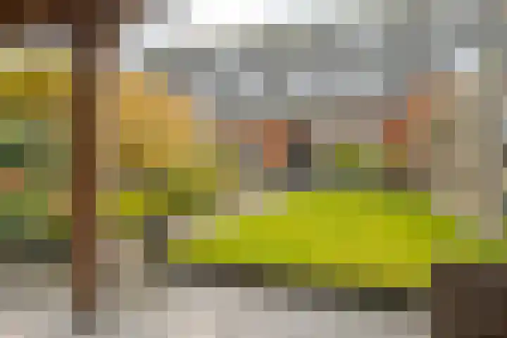 Dal 25 Tolbert thumbnail 28