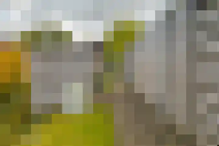 Dal 25 Tolbert thumbnail 30