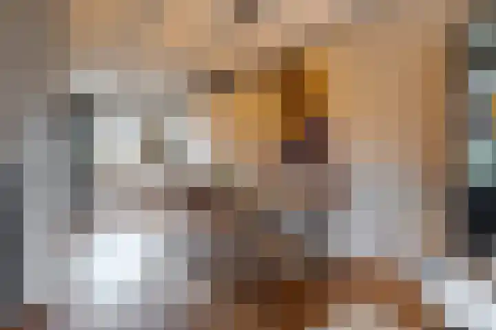 Dal 25 Tolbert thumbnail 31