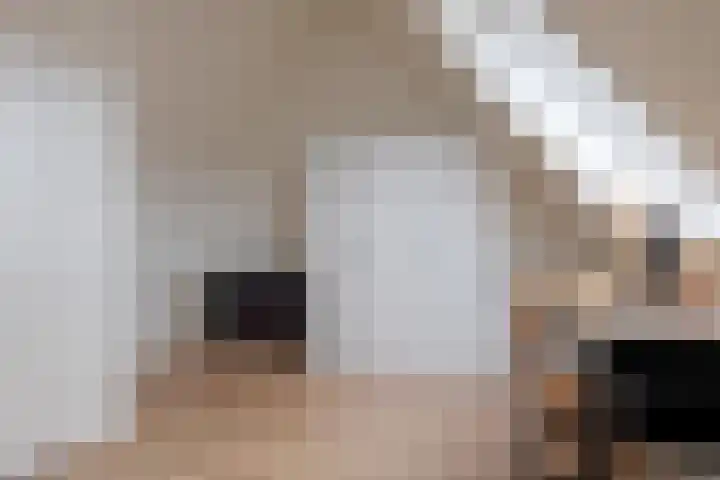 Dal 25 Tolbert thumbnail 48