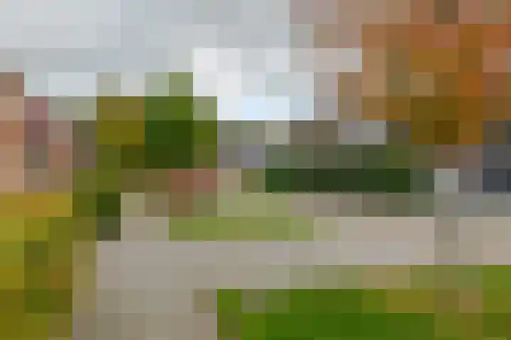 Dal 25 Tolbert thumbnail 6