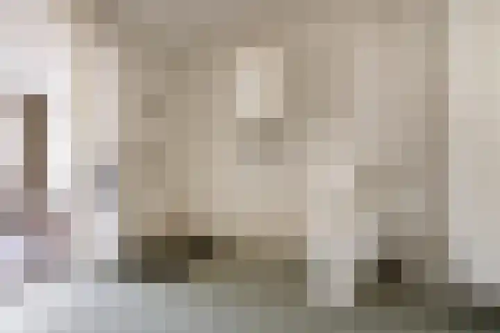Dalemhof 10 Tholen thumbnail 13
