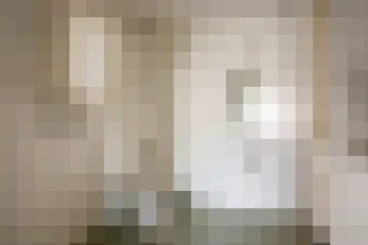 Dalemhof 10 Tholen thumbnail 14