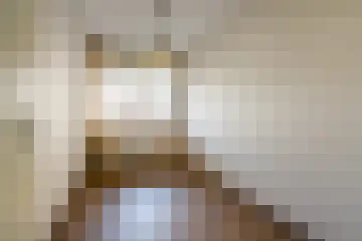 Dalemhof 10 Tholen thumbnail 15