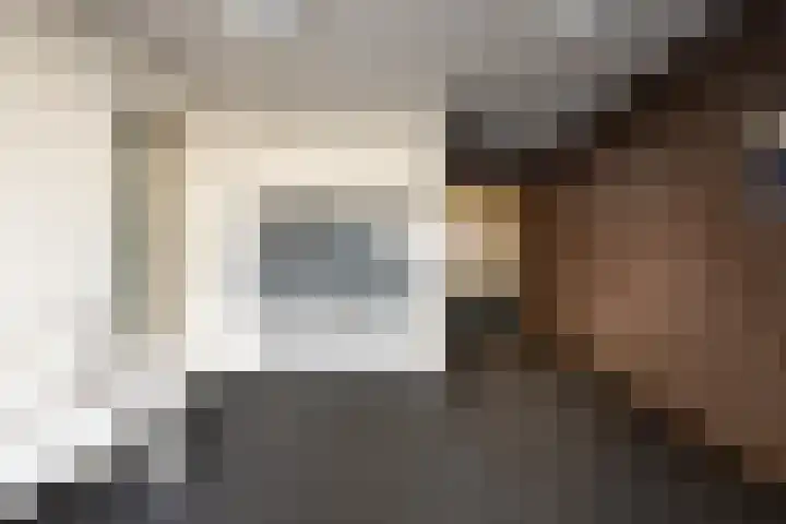 Dalemhof 10 Tholen thumbnail 19