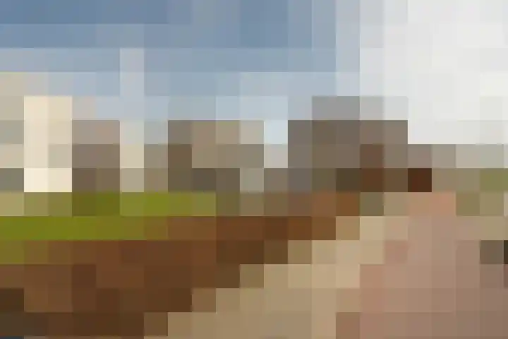 Dalemhof 10 Tholen thumbnail 22