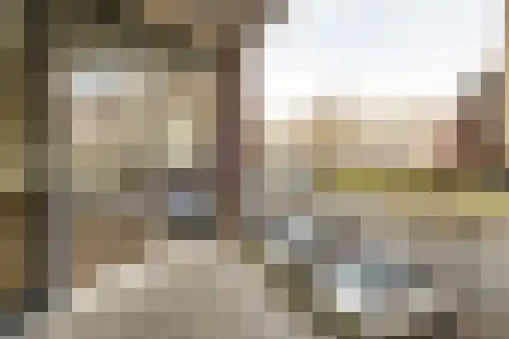 Dalemhof 10 Tholen thumbnail 4