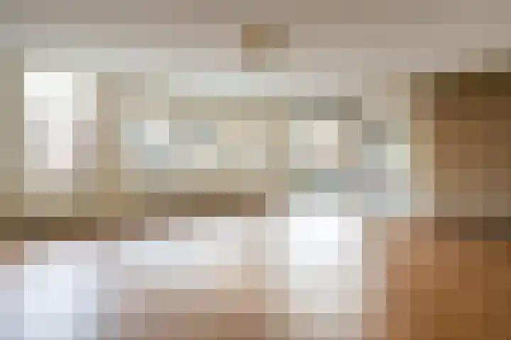Dalemhof 10 Tholen thumbnail 5