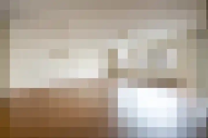Dalemhof 10 Tholen thumbnail 6