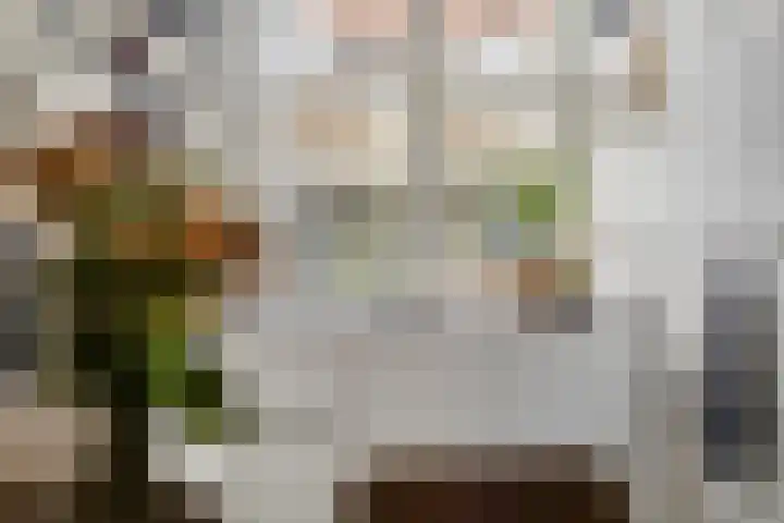 Dalemsestraat 16 Tholen thumbnail 23