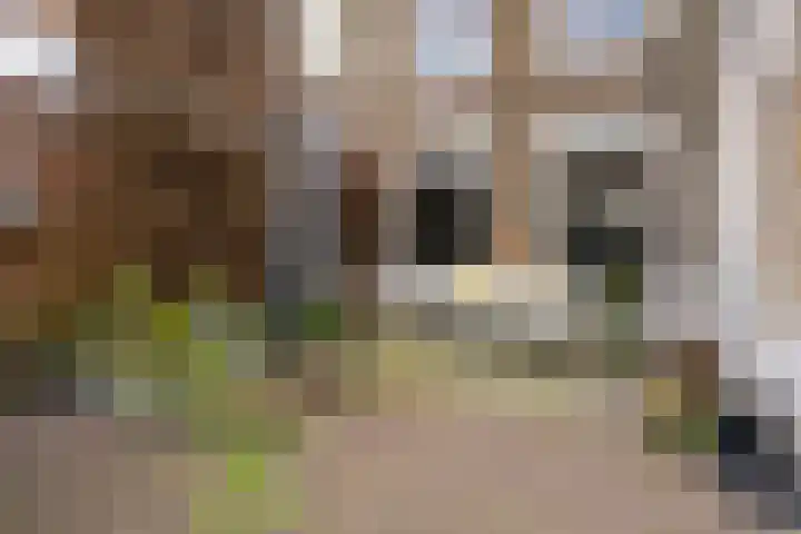 Dalemsestraat 16 Tholen thumbnail 31