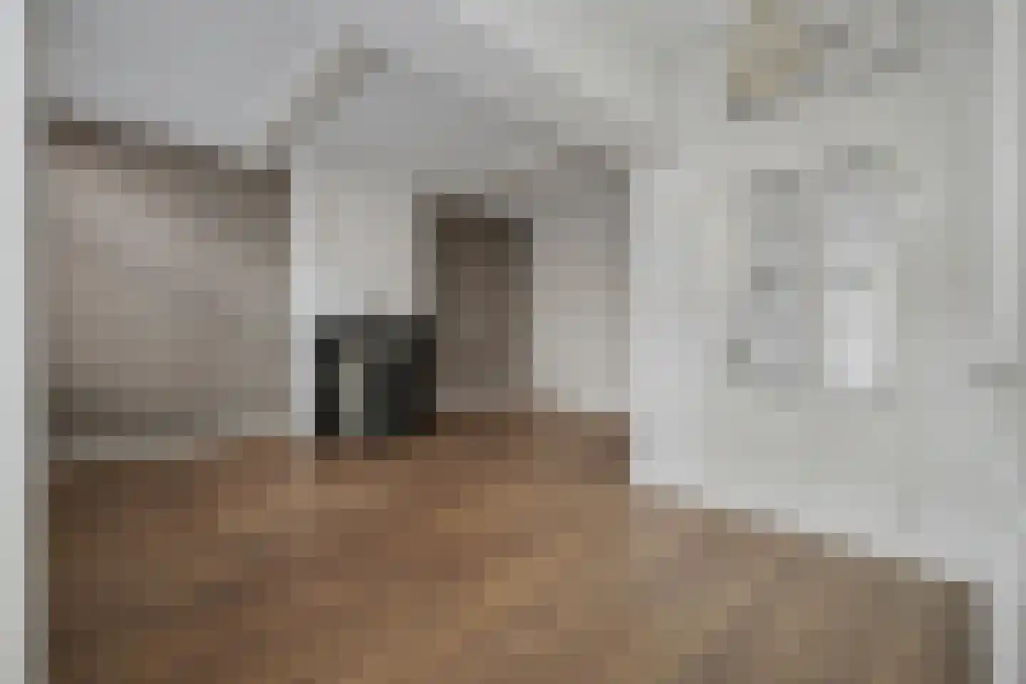 Dalemsestraat 20 Tholen thumbnail 11