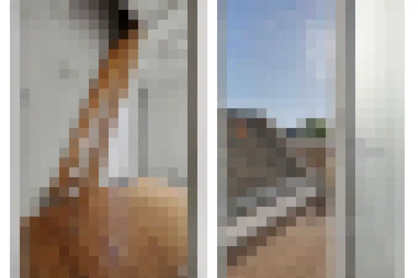 Dalemsestraat 20 Tholen thumbnail 31