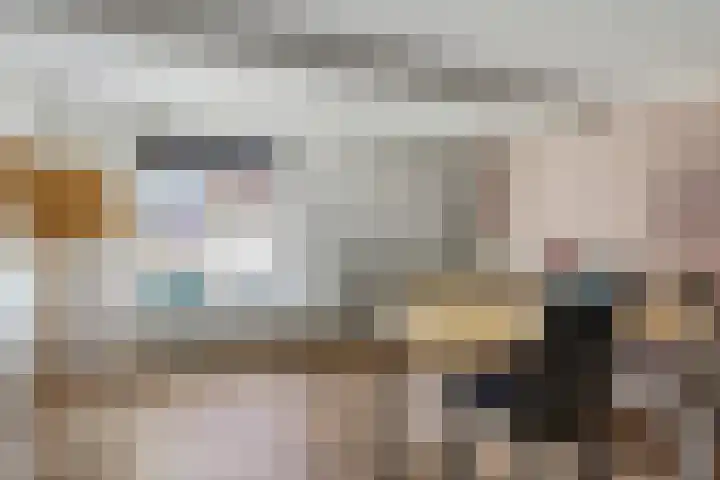 Dalemsestraat 31 Tholen thumbnail 28