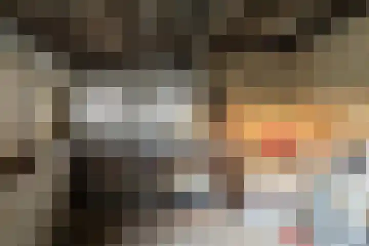 Dalemsestraat 31 Tholen thumbnail 34